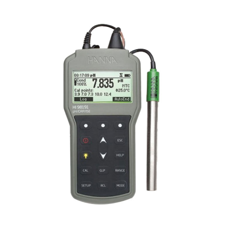A Hanna HI98191 Professional Portable pH/ORP/ISE Meter with a digital display, measurement probe, and control buttons on the front panel, supplied in a grey carrying case.