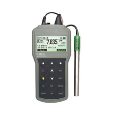 A Hanna HI98191 Professional Portable pH/ORP/ISE Meter with a digital display, measurement probe, and control buttons on the front panel, supplied in a grey carrying case.